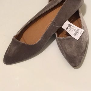 Nwts Gray Velvet flat shoes size 9.